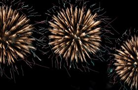 diễn đàn New88